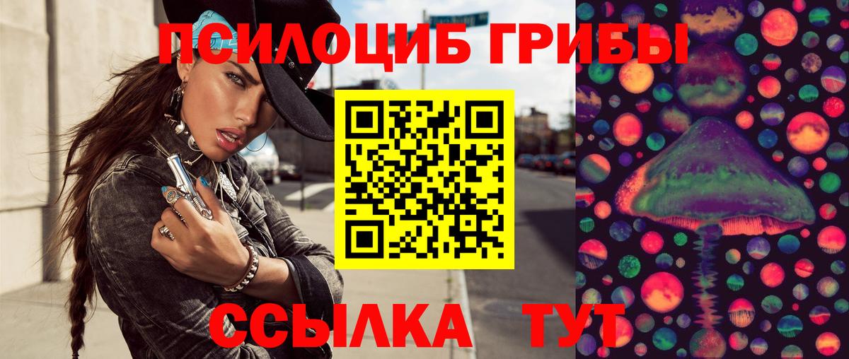 Галлюциногенные грибы мухоморы  Галлюциногенные грибы Magic Shrooms  цена   Кувандык  Вход с VPN 